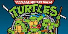 Teenage Mutant Ninja Turtles feest