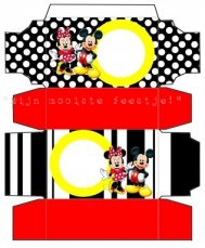 Traktatiedoosje Mickey & Minnie